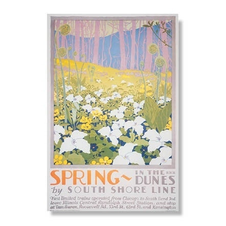 Spring in the Dunes Magnet