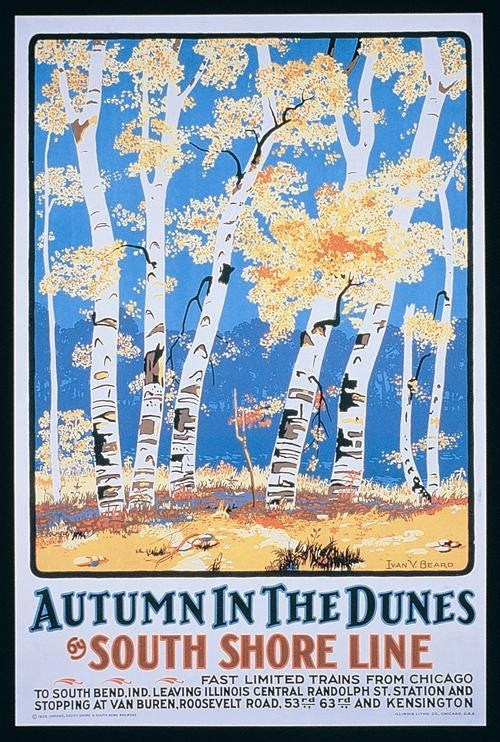 Ivan Beard - Autumn in The Dunes by the South Shore Line
